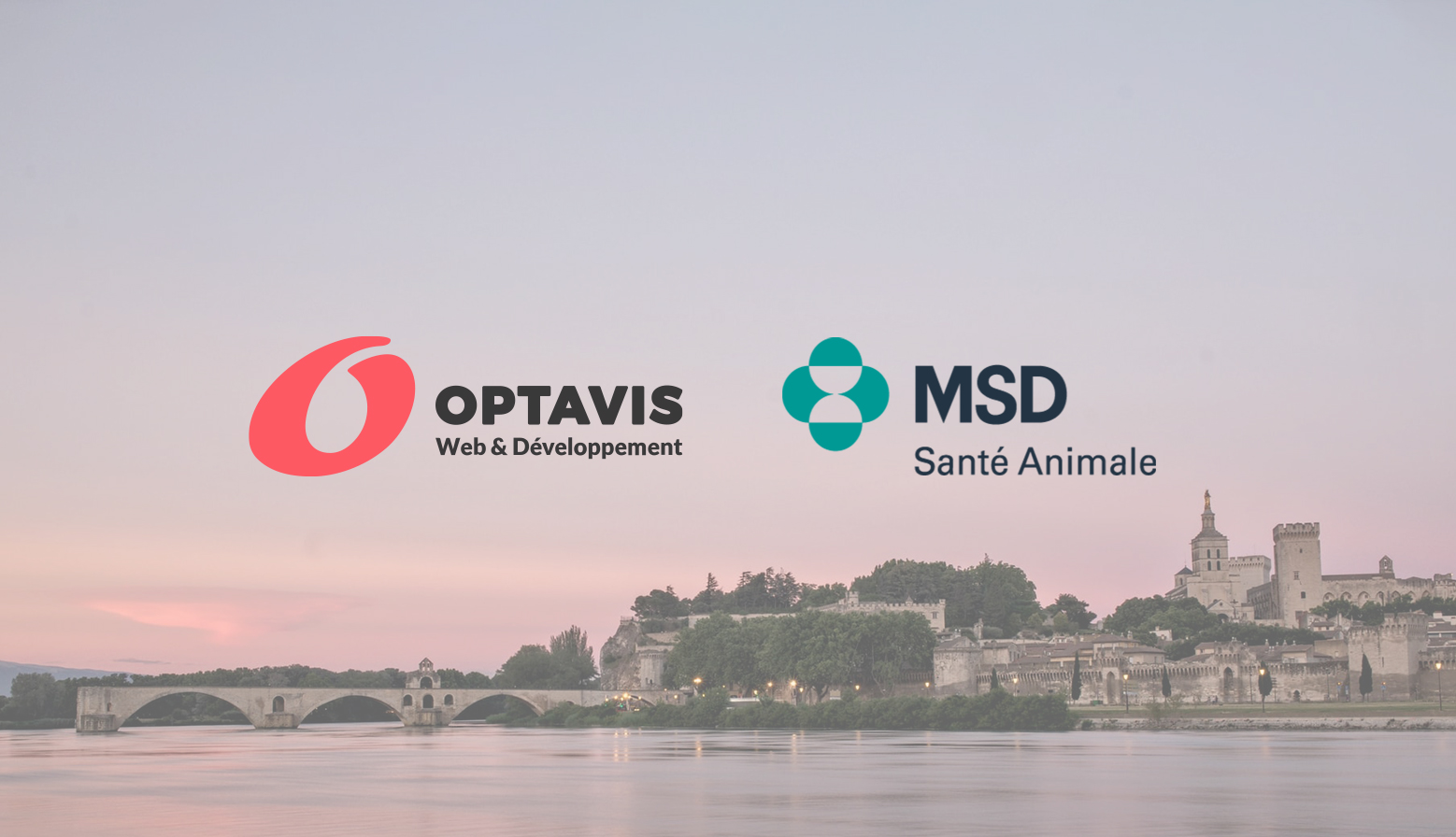 Seminaire Avignon Optavis MSD Santé Animale